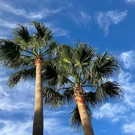 Casa Cactus Tenerife