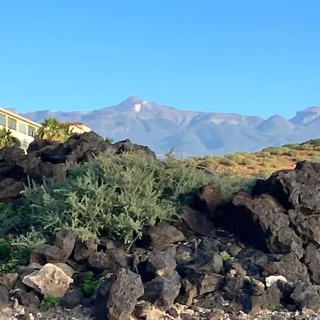 Casa Cactus Tenerife