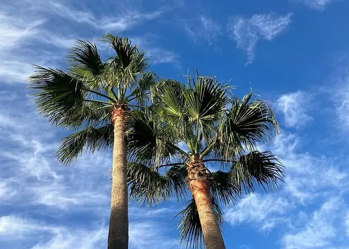 Casa Cactus Tenerife